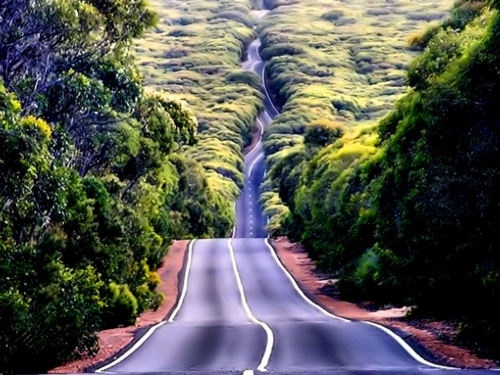 x2113174074852303446gv6majsc