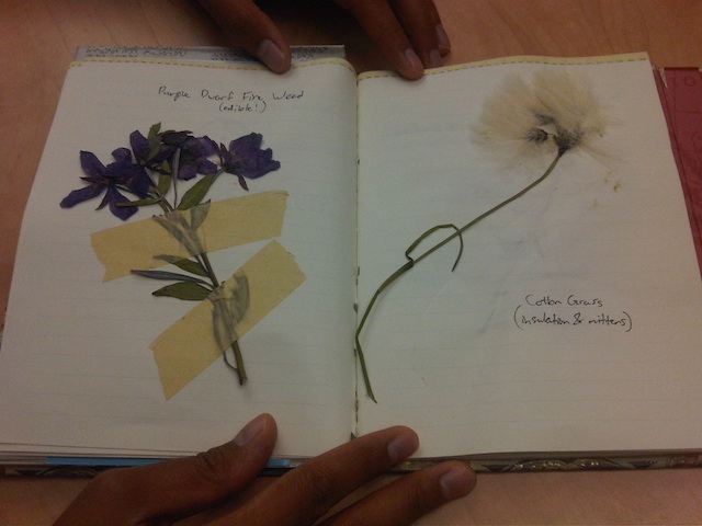 arctic_flowers_journal_pressed