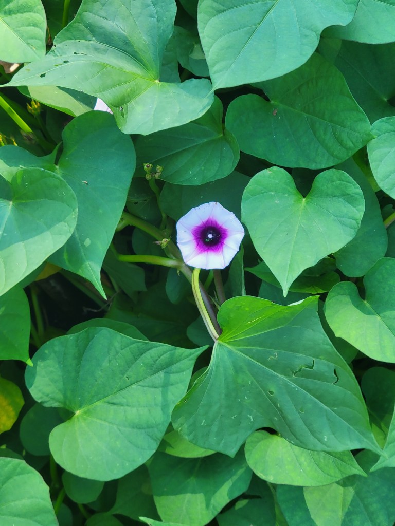 How to Name Your Fantasy Novel – Typing Madly